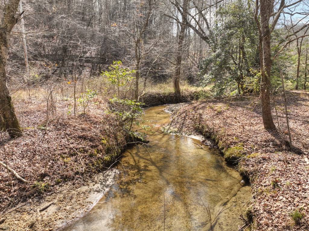 Blue Ridge, GA 30513,5 AC Pack Creek Road