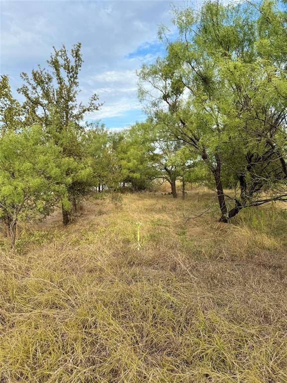 Brownwood, TX 76801,TBD S Beacon Lane