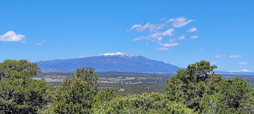 Walsenburg, CO 81089,99 River Ridge Ranch
