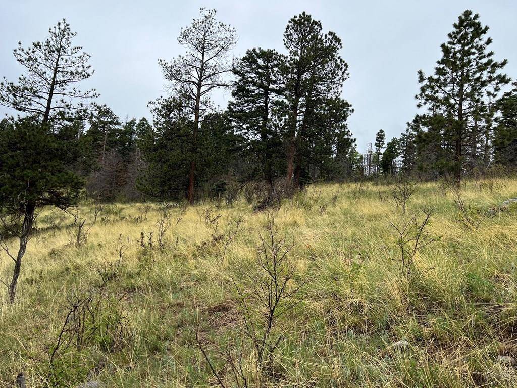 Aguilar, CO 81020,Tract 27 No Site Address