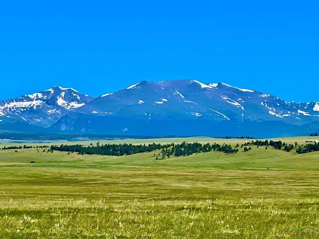 Hartsel, CO 80449,2555 County Rd 24