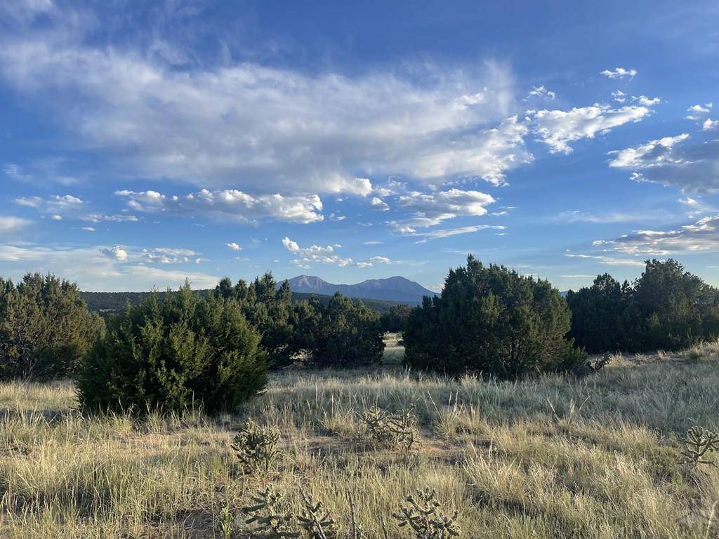 Walsenburg, CO 81089,L6 B7 Rocky Mountain Dr