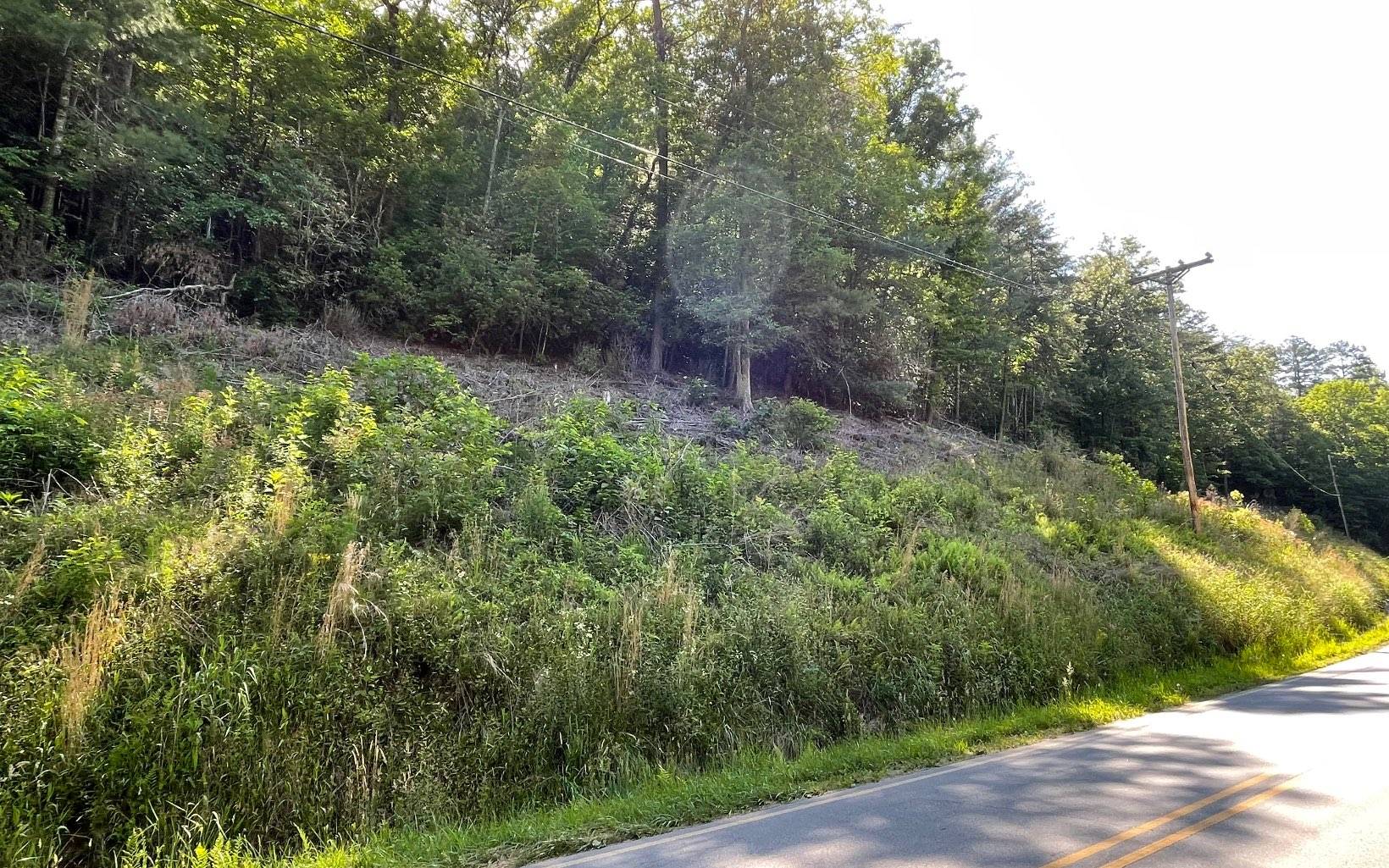 Hayesville, NC 28904,LOT 2 Fires Creek Road