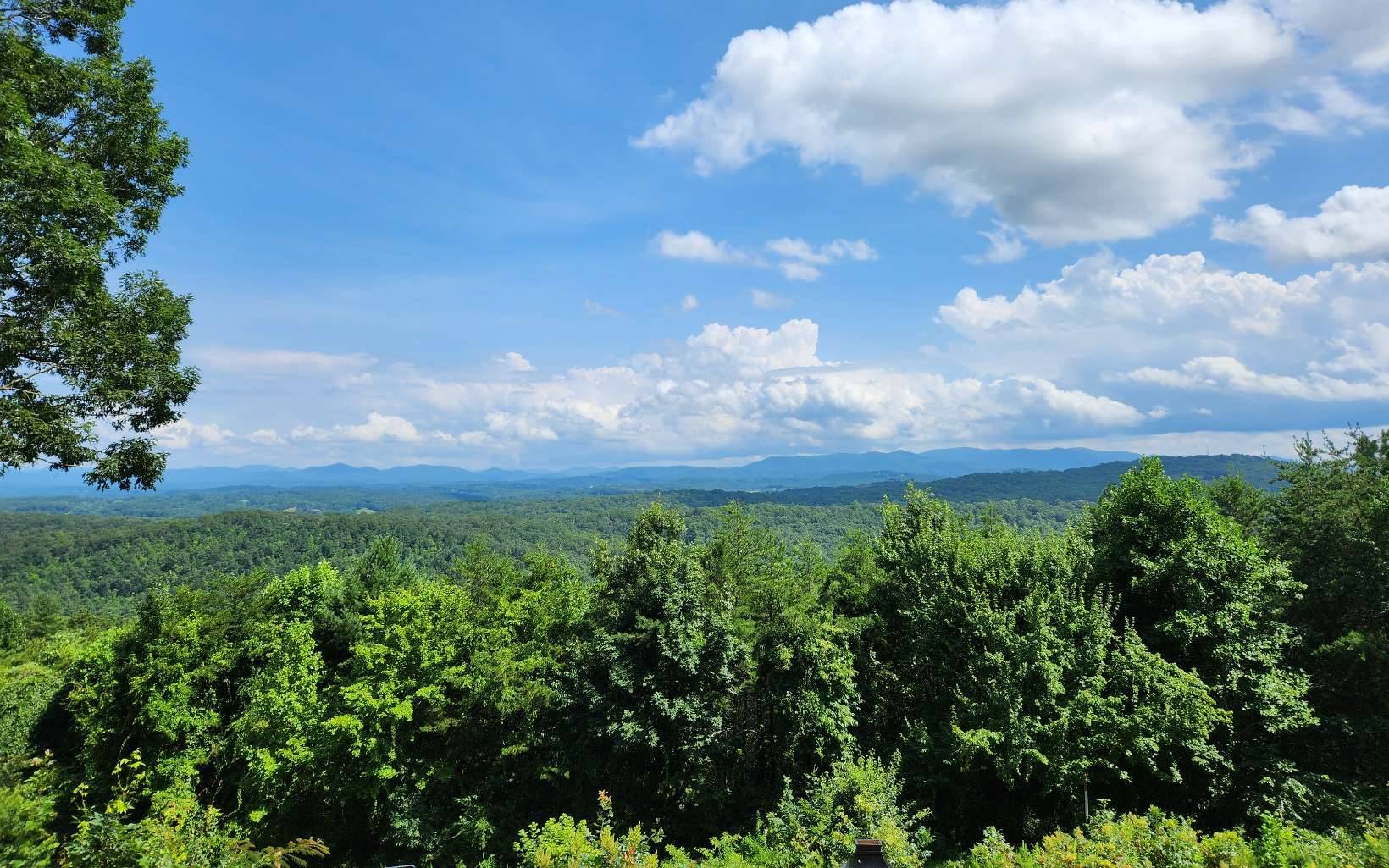 Blue Ridge, GA 30513,0 Lookout Drive