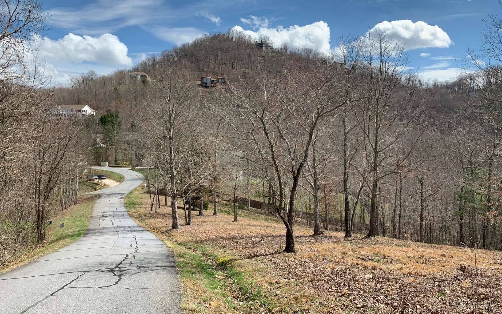 Hayesville, NC 28904,LOT42 Dan Knob