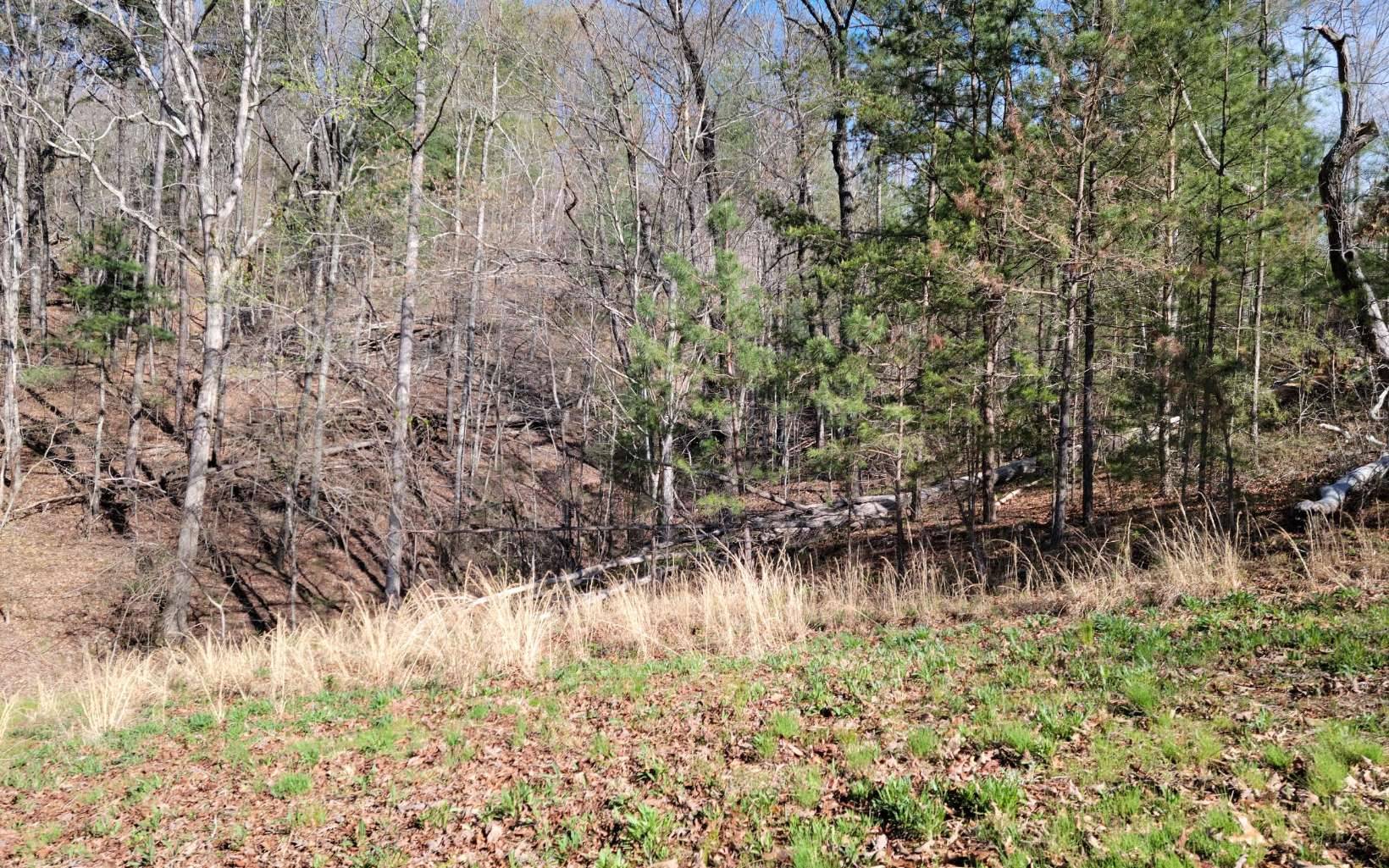 Murphy, NC 28906,9 John Laurel Drive