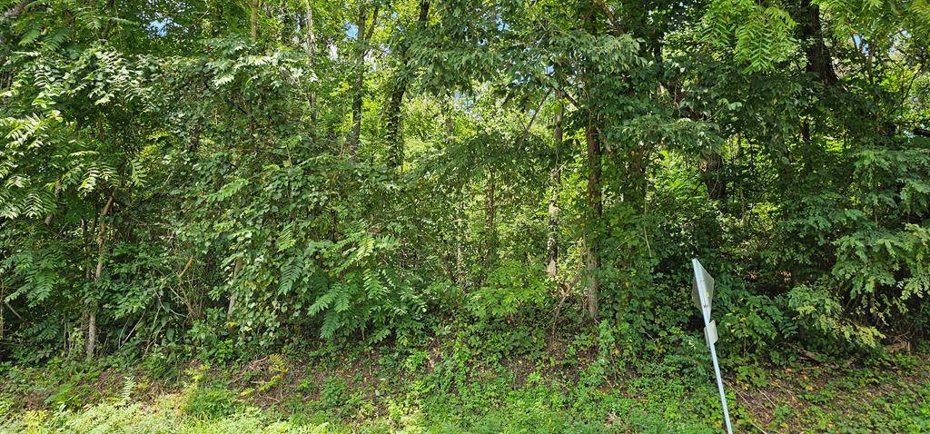 Abingdon, VA 24210,TBD Green Spring Road
