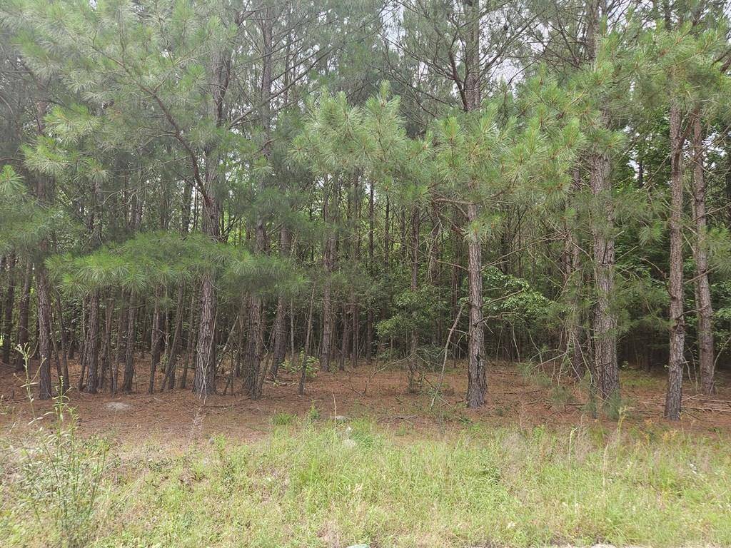Manning, SC 29102,2910 Doc Naomi Rd
