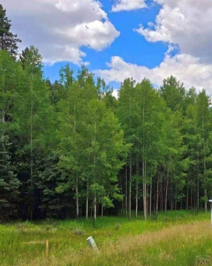 Florissant, CO 80816,662 Spring Valley Ln