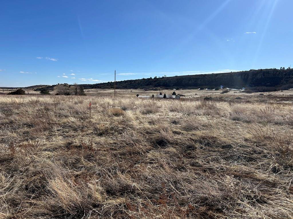 Colorado City, CO 81019,Lot 239 Granada
