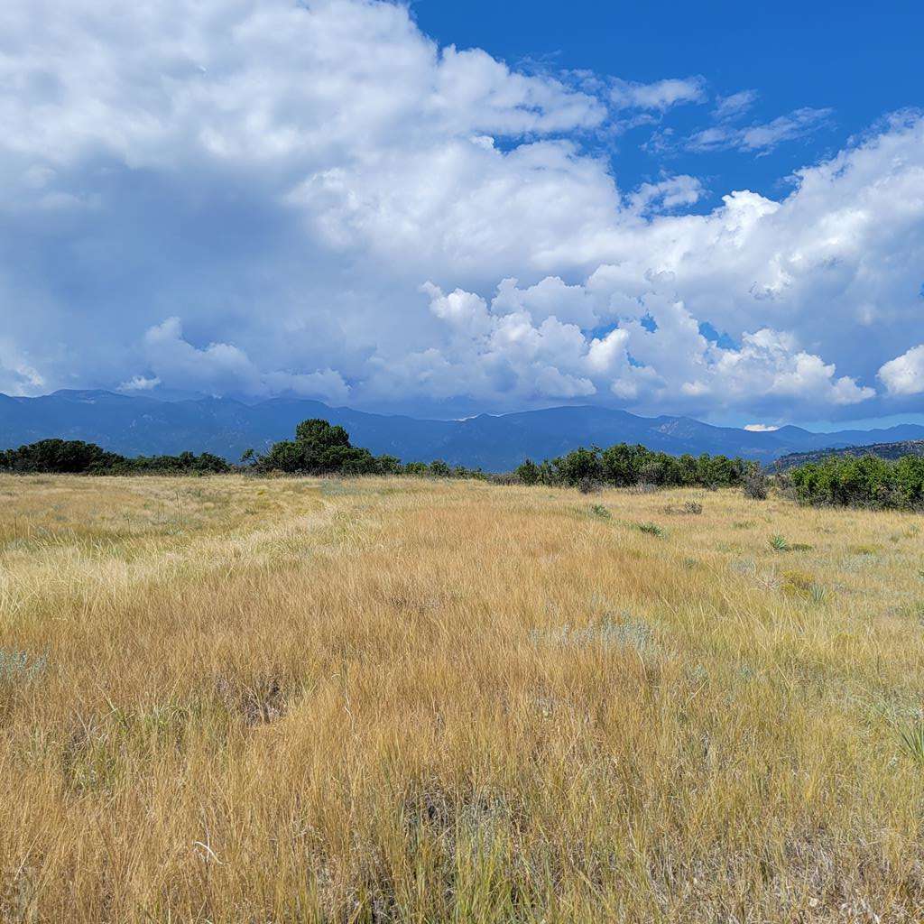 Colorado City, CO 81019,688 Geronimo Rd