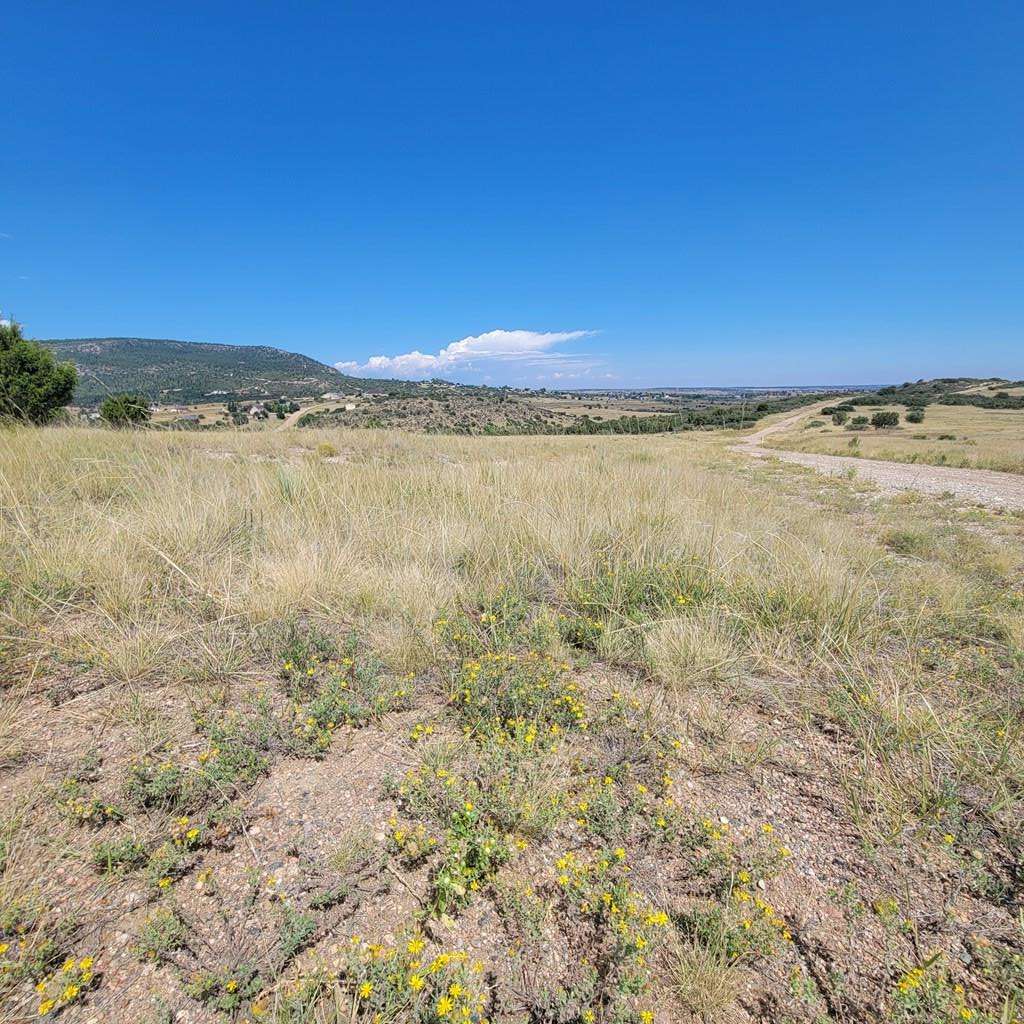 Colorado City, CO 81019,688 Geronimo Rd