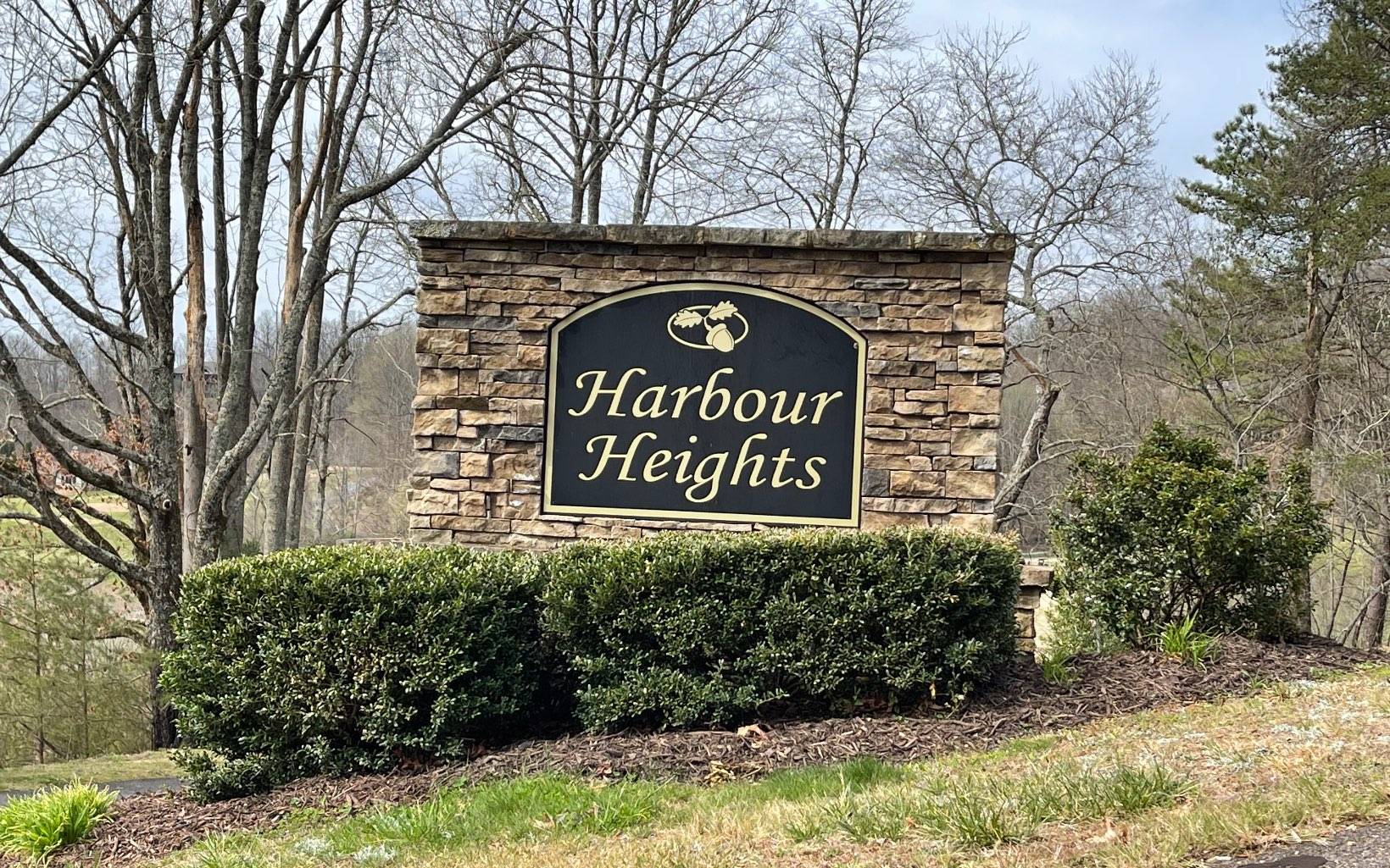 Hayesville, NC 28904,LOT 3 Harbour Heights Drive