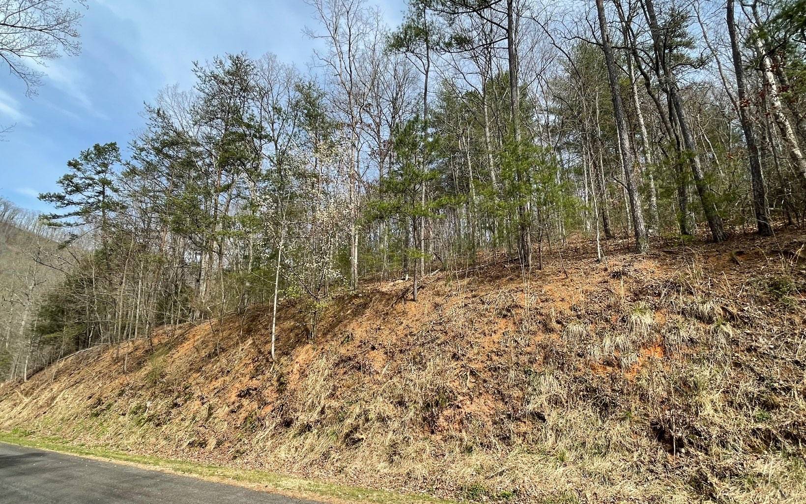 Hayesville, NC 28904,LOT 3 Harbour Heights Drive