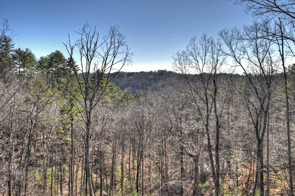 Ellijay, GA 30540,185 Sundown Trail