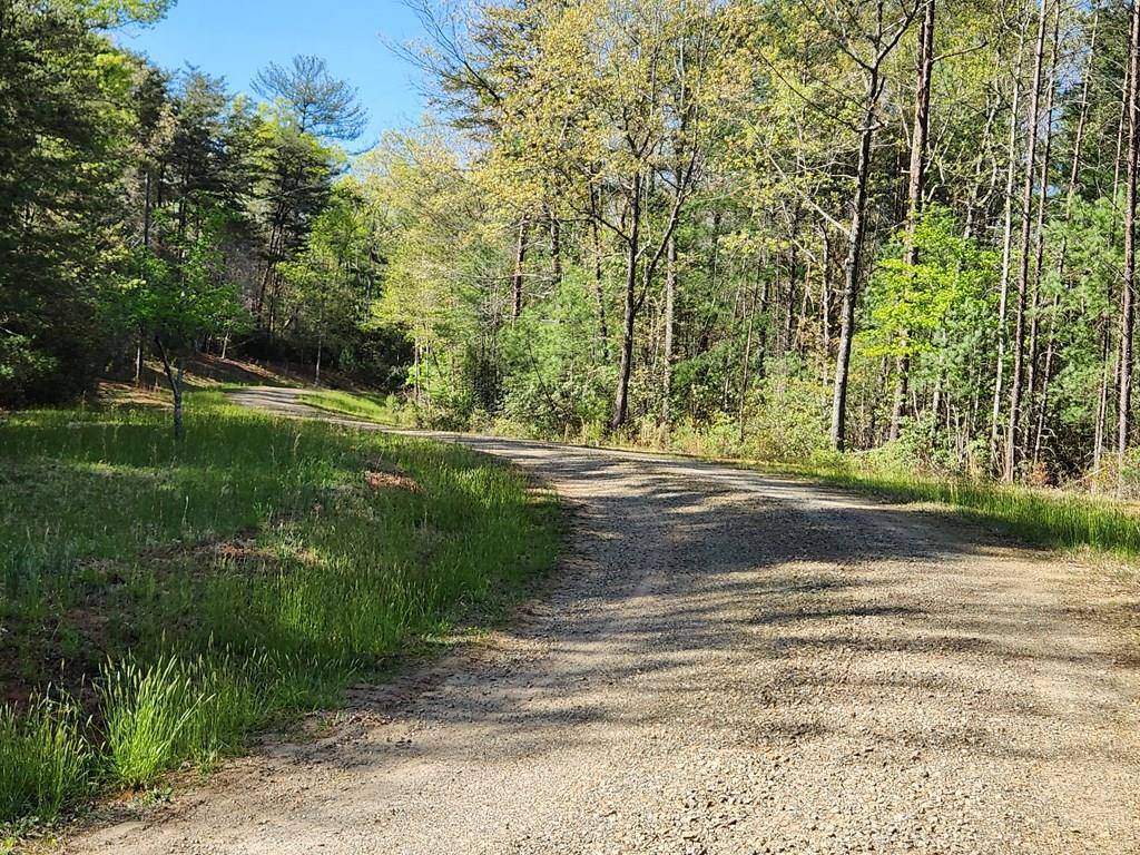 Woolwine, VA 24185,TBD Golden Drive