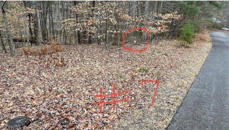 Stuart, VA 24171,Lot 7 Woods Haven Lane