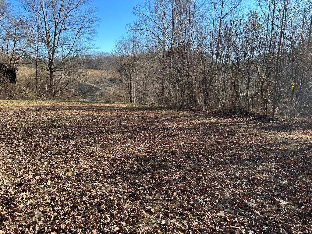 Swords Creek, VA 24649,TBD Horton Ridge RD