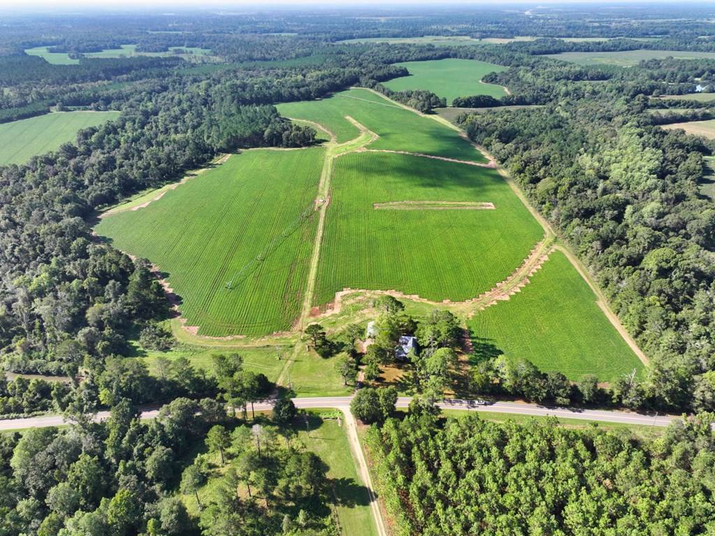 Bluffton, GA 39846,Address not disclosed