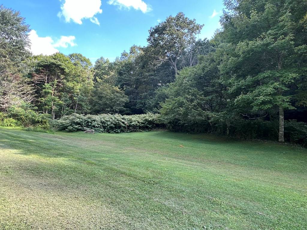 Mouth Of Wilson, VA 24363,125 Fees Ridge Lane