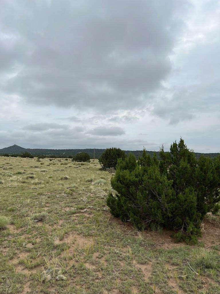 Walsenburg, CO 81089,215 Greenhorn Village