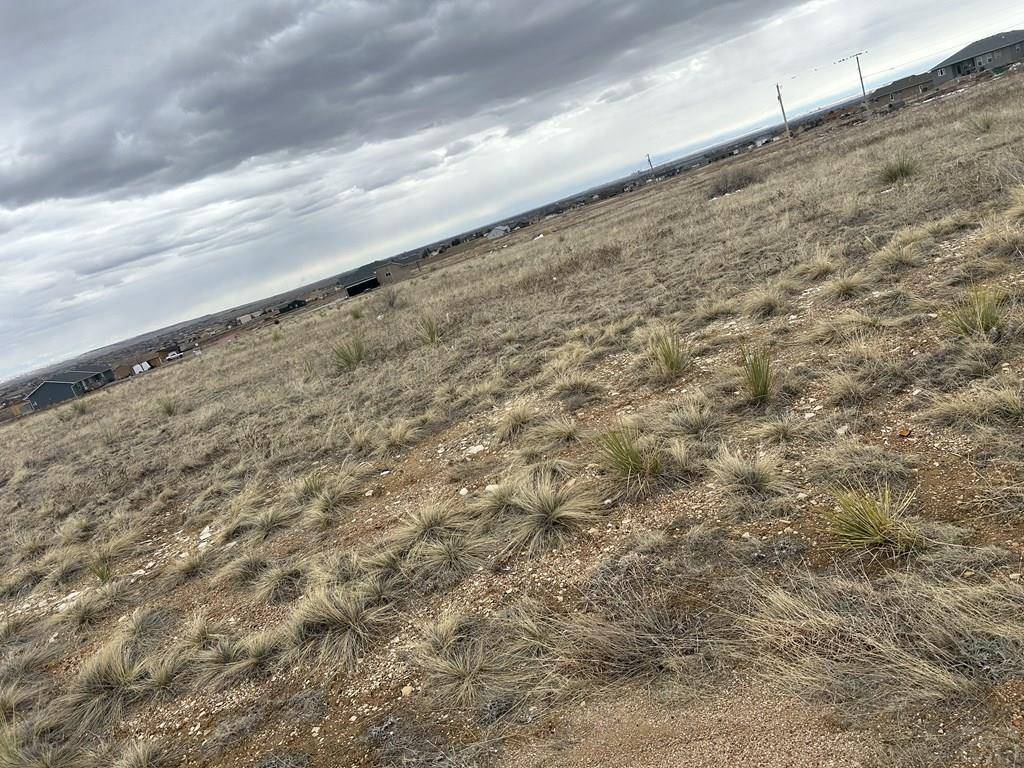 Pueblo West, CO 81007,468 E Goldenrod Dr