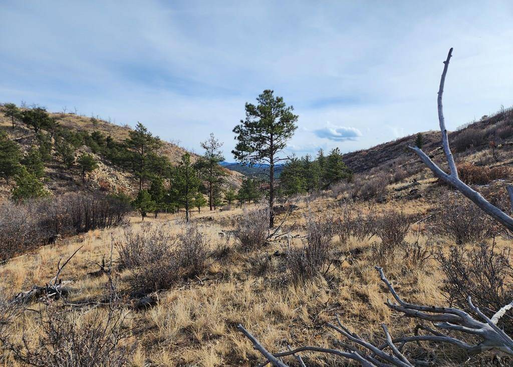 Cotopaxi, CO 81223,961 E Shannon Trail
