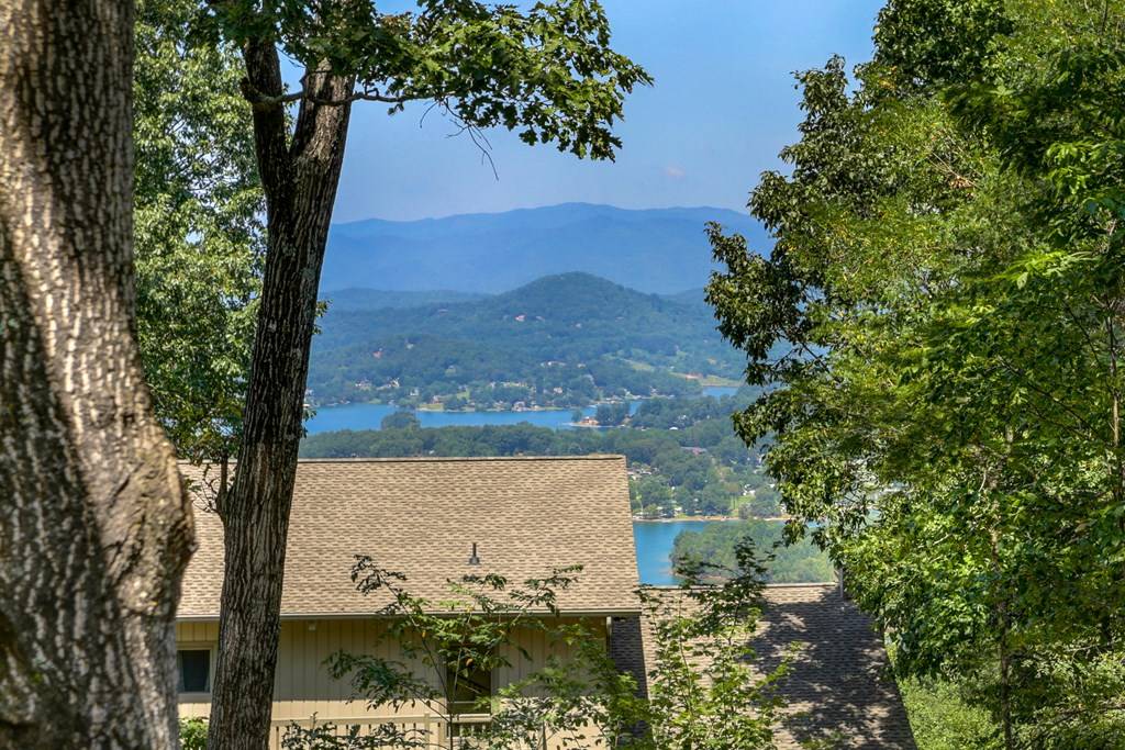 Hayesville, NC 28904,93 Eagles View Circle