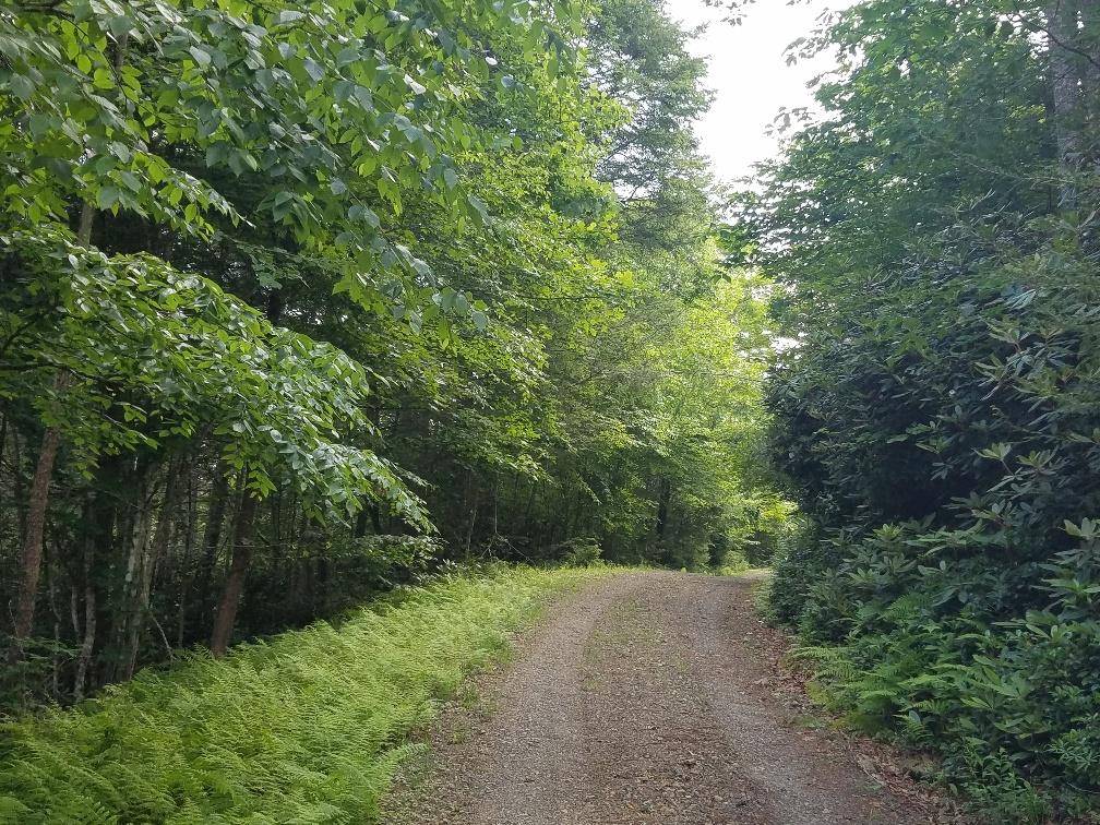 Ennice, NC 28623,TBD CRESTVIEW MOUNTAIN DR LOT 42