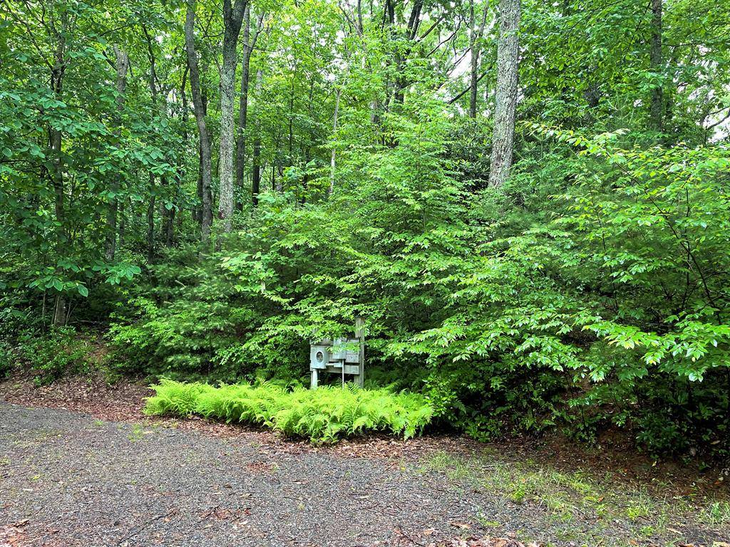 Fancy Gap, VA 24328,TBD Forest Park Lane