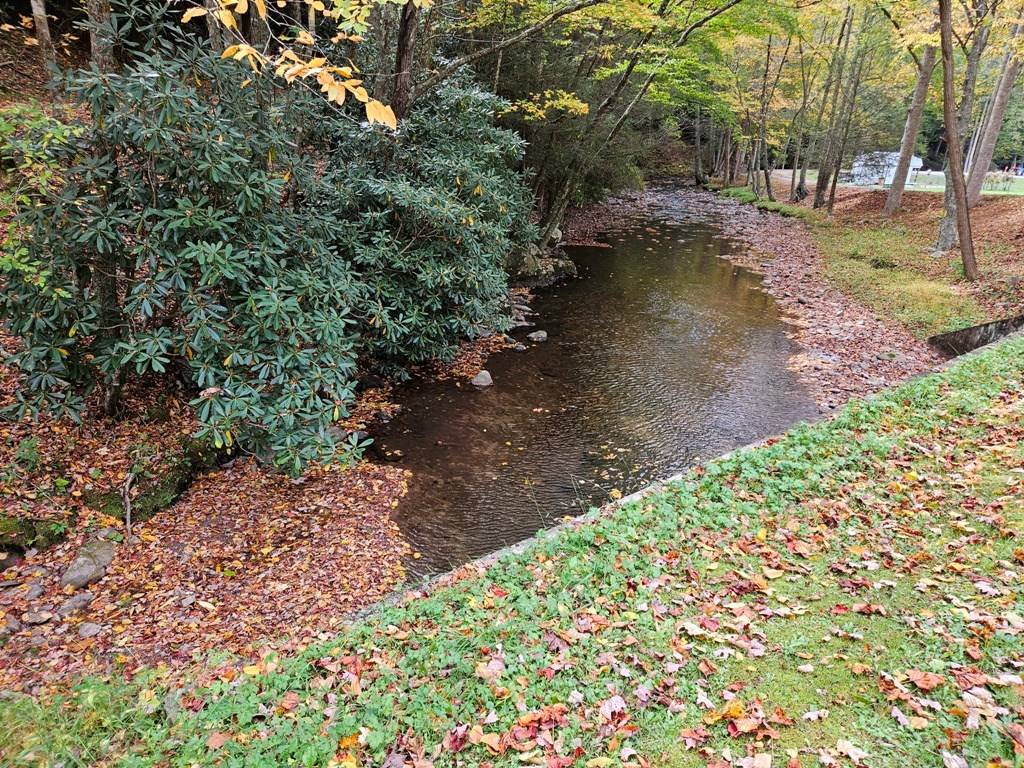 Damascus, VA 24236,Lot 14B Pennington Branch Road
