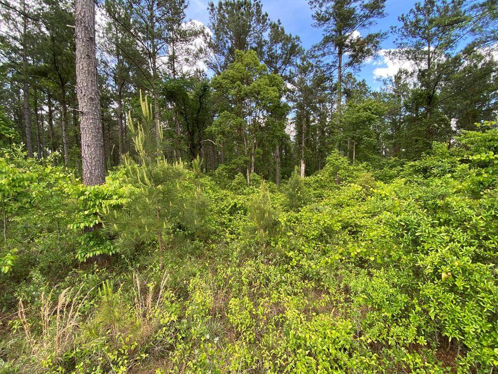 Bainbridge, GA 39817,Lots Lott 19 & 20