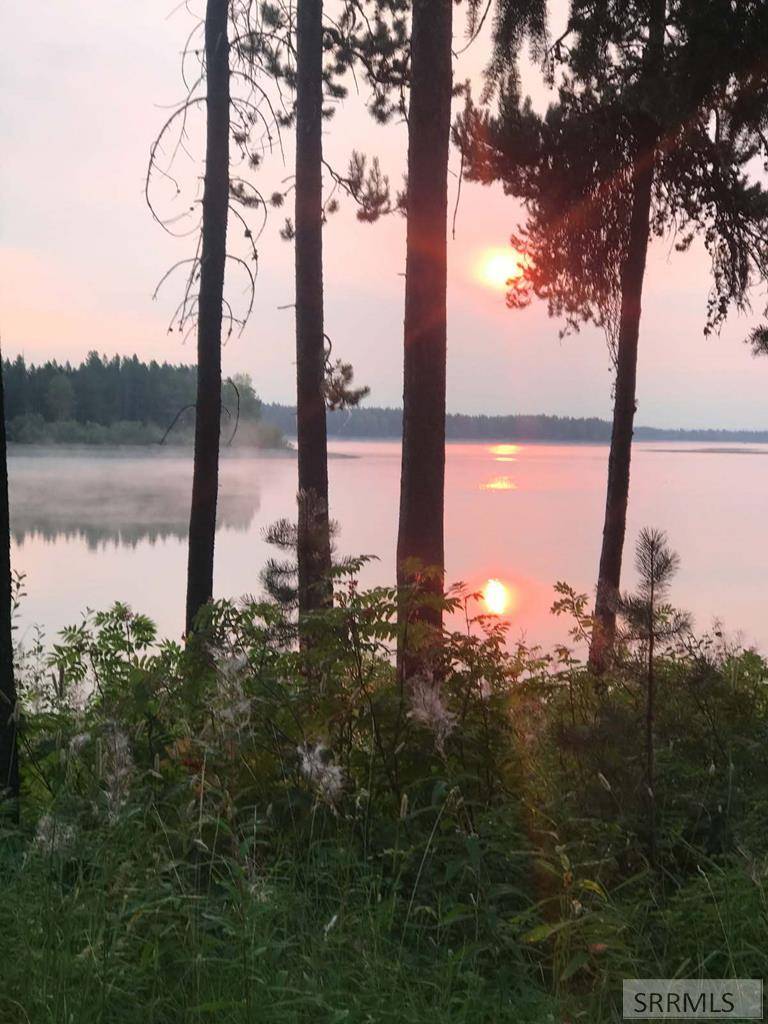 Island Park, ID 83429,3648 Bills Loop South Road