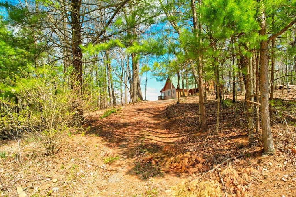 Chatsworth, GA 30705,30 Hwy 52