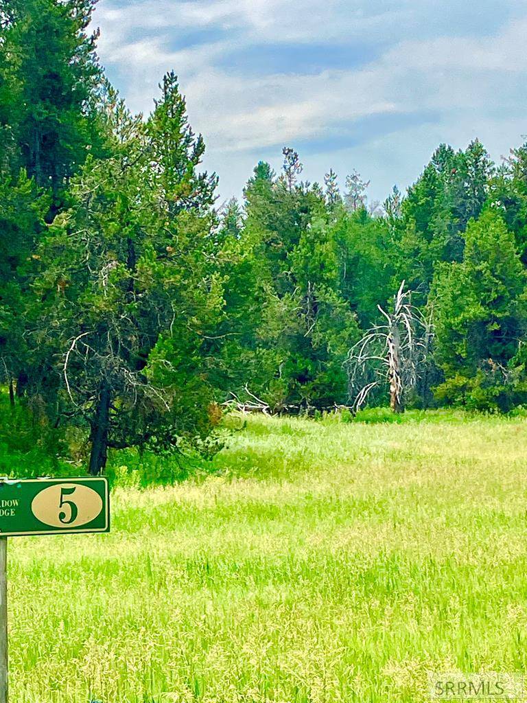 Ashton, ID 83420,4402 Granite Ridge North