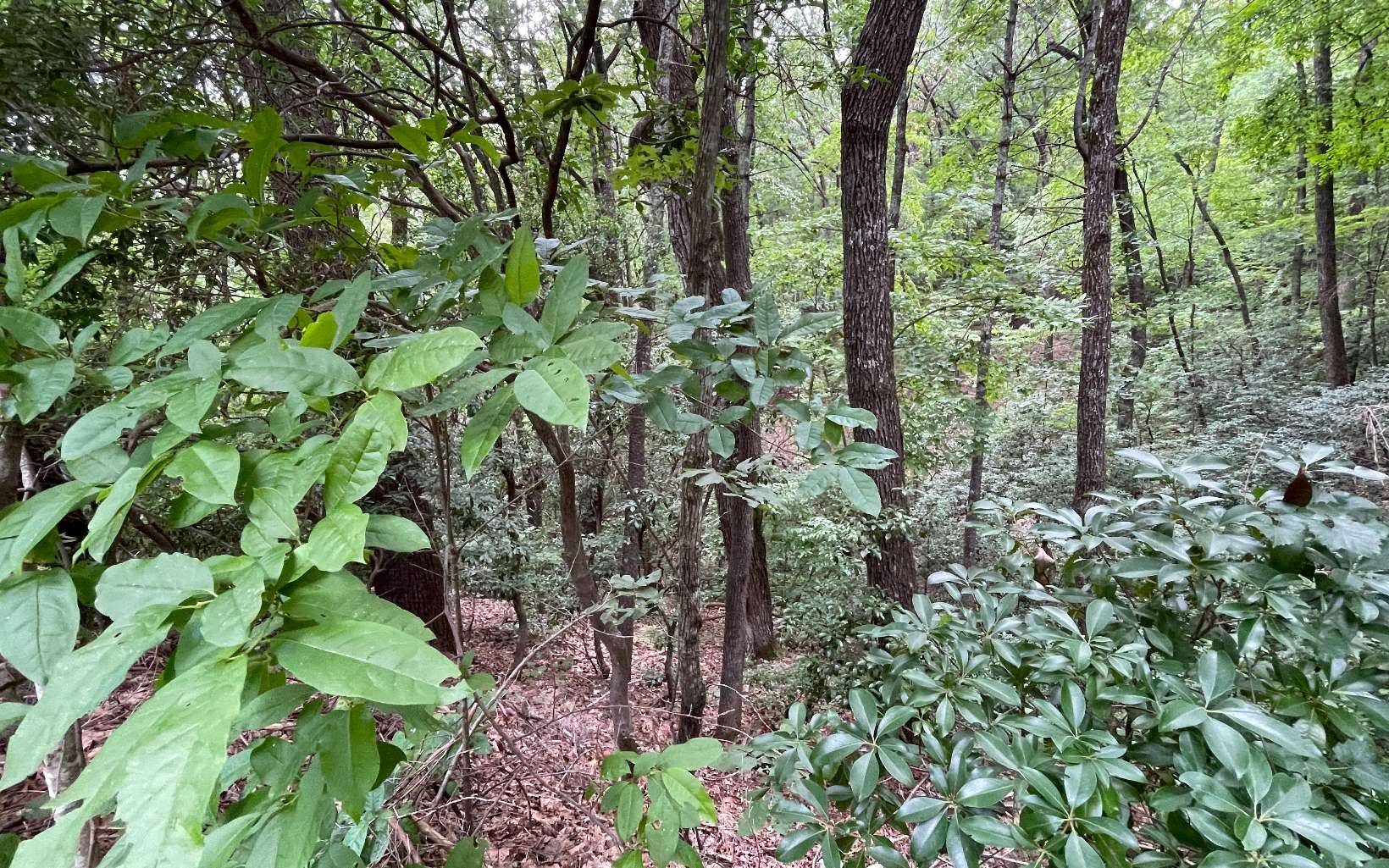 Clayton, GA 30525,LT 7A Lancelot Loop