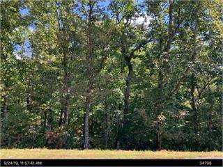 Ellijay, GA 30536,Lot 9 Robert Drive