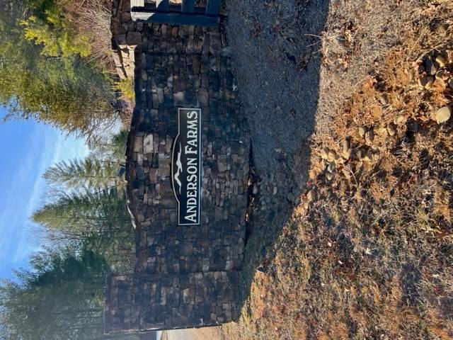 Ellijay, GA 30536,Lot 9 Robert Drive
