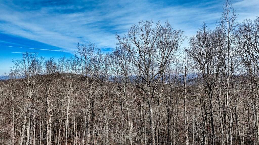 Blairsville, GA 30512,Lot 71 Chicory Drive W