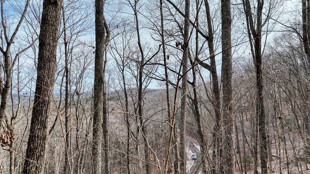 Blairsville, GA 30512,Lot 71 Chicory Drive W