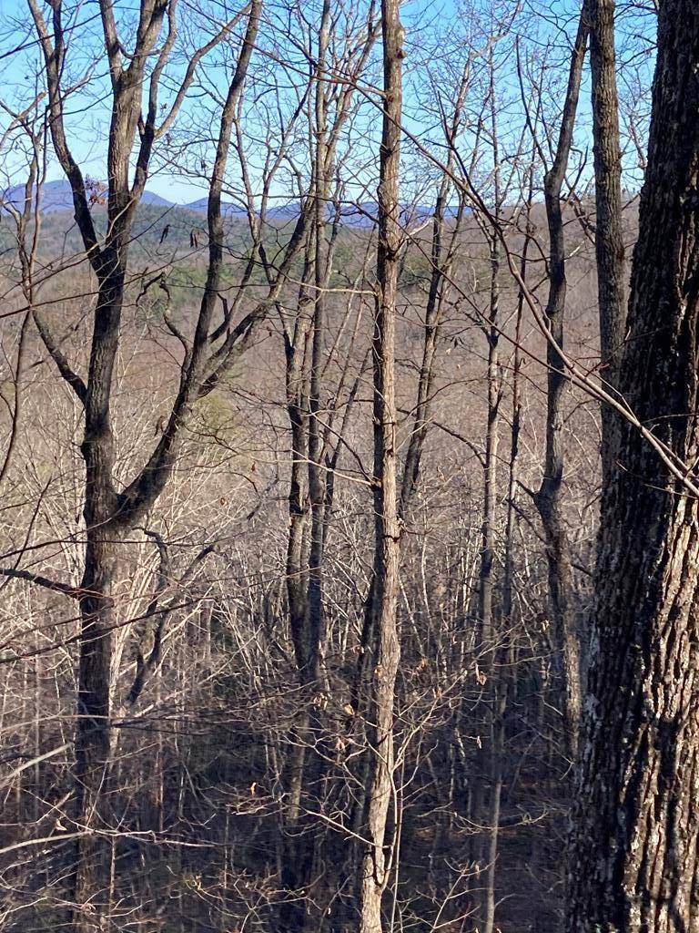 Blairsville, GA 30512,Lot 71 Chicory Drive W