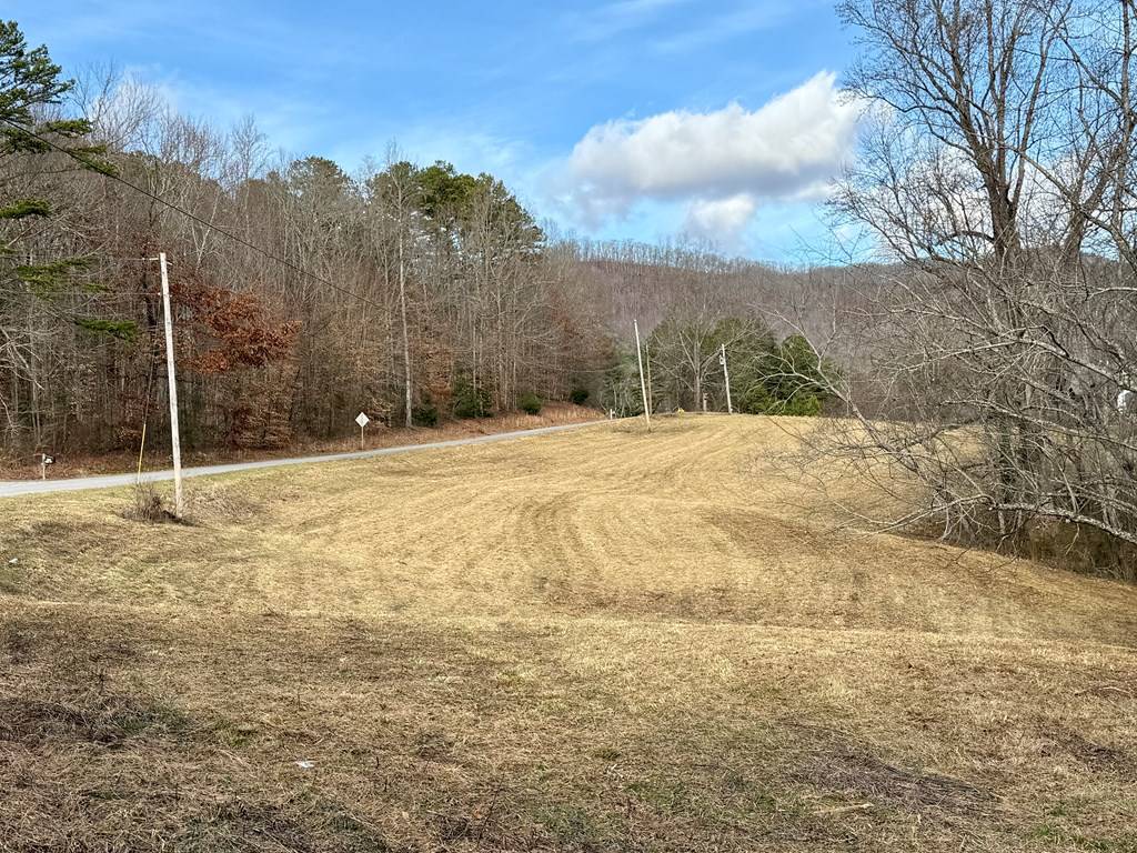 Hayesville, NC 28904,TR 2 & 3 Ashe Road