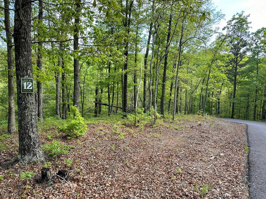 Hayesville, NC 28904,Lot 12 Settawig Overlook