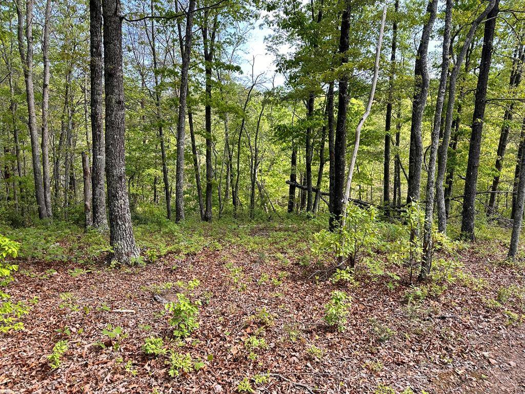 Hayesville, NC 28904,Lot 12 Settawig Overlook