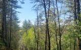 Mineral Bluff, GA 30559,0 Whispering Creek Drive