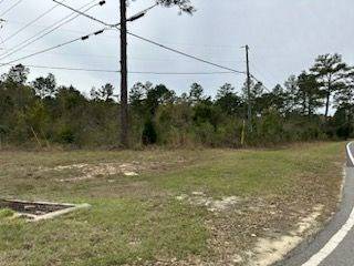 Thomasville, GA 31757,0 N Hwy 319