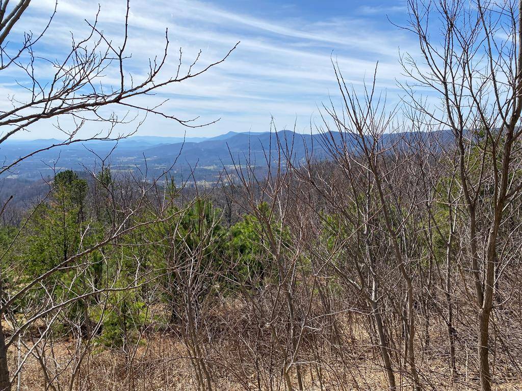 Fancy Gap, VA 24328,TBD Reflections Point Trail