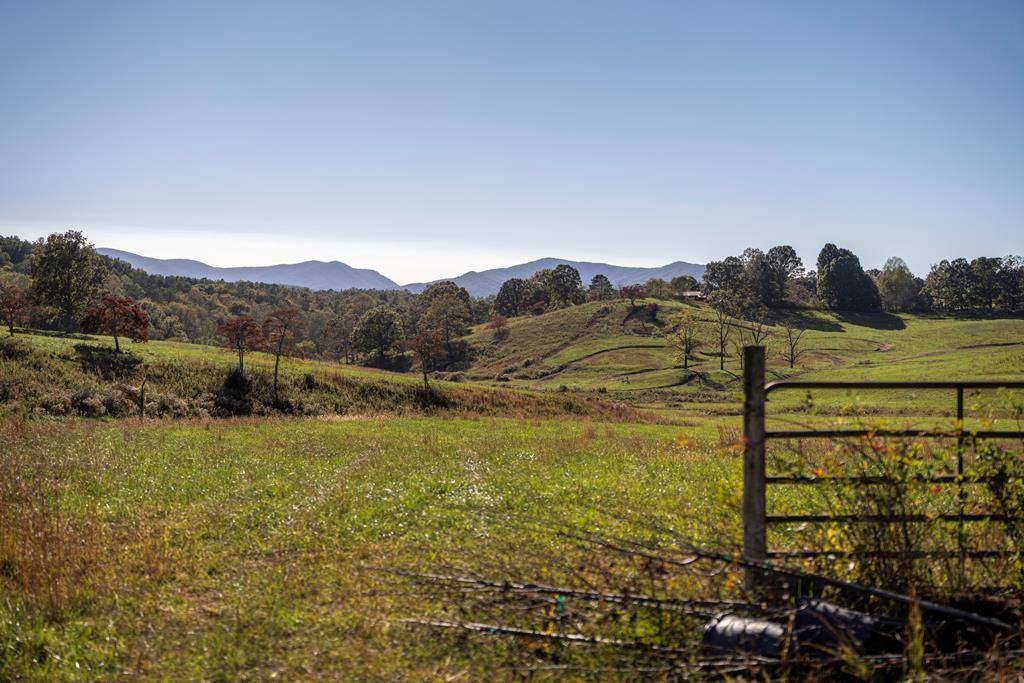 Morganton, GA 30560,198 Tipton Springs Road