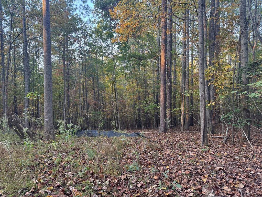 Young Harris, GA 30582,0 Hall Road