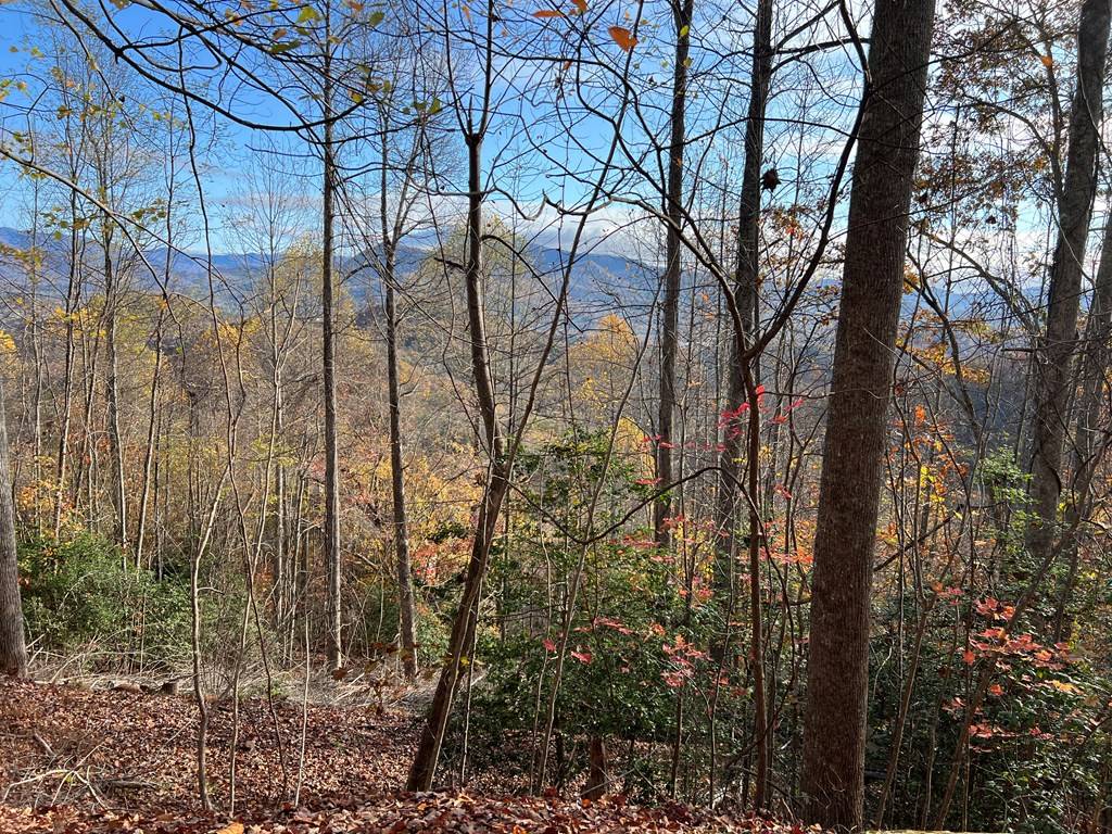 Hiawassee, GA 30546,Tract 1 Hidden Summit Road